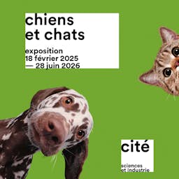 Poster image for the exhibition titled Dogs and Cats