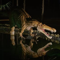 Poster image for the exhibition titled Jurassic Nights