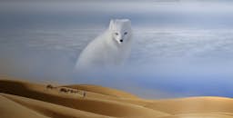 Poster image for the exhibition titled Deserts