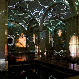 Poster image for the exhibition titled The Divine Michelangelo & the Genius Da Vinci