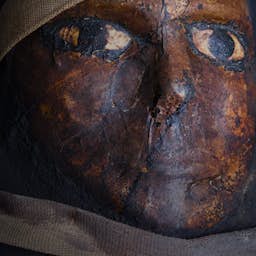 Poster image for the exhibition titled Mummies