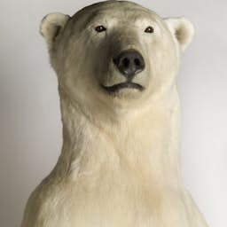 Poster image for the exhibition titled Too Strong!