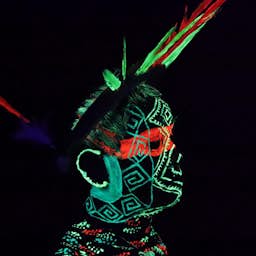 Poster image for the exhibition titled Amazonia: Indigenous Creations and Futures