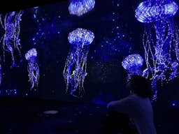 Poster image for the exhibition titled Submerged Universe