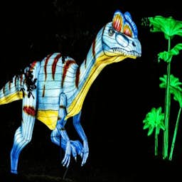 Poster image for the exhibition titled Wild Lights 2025: An Immersive and Luminous Experience