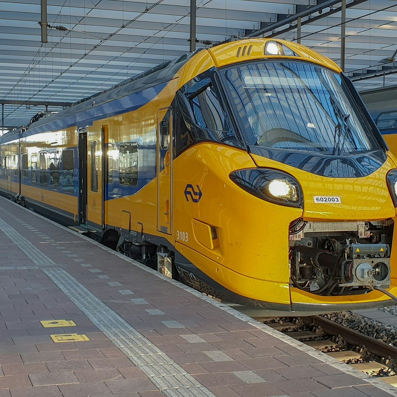 Picture of  in Amsterdam