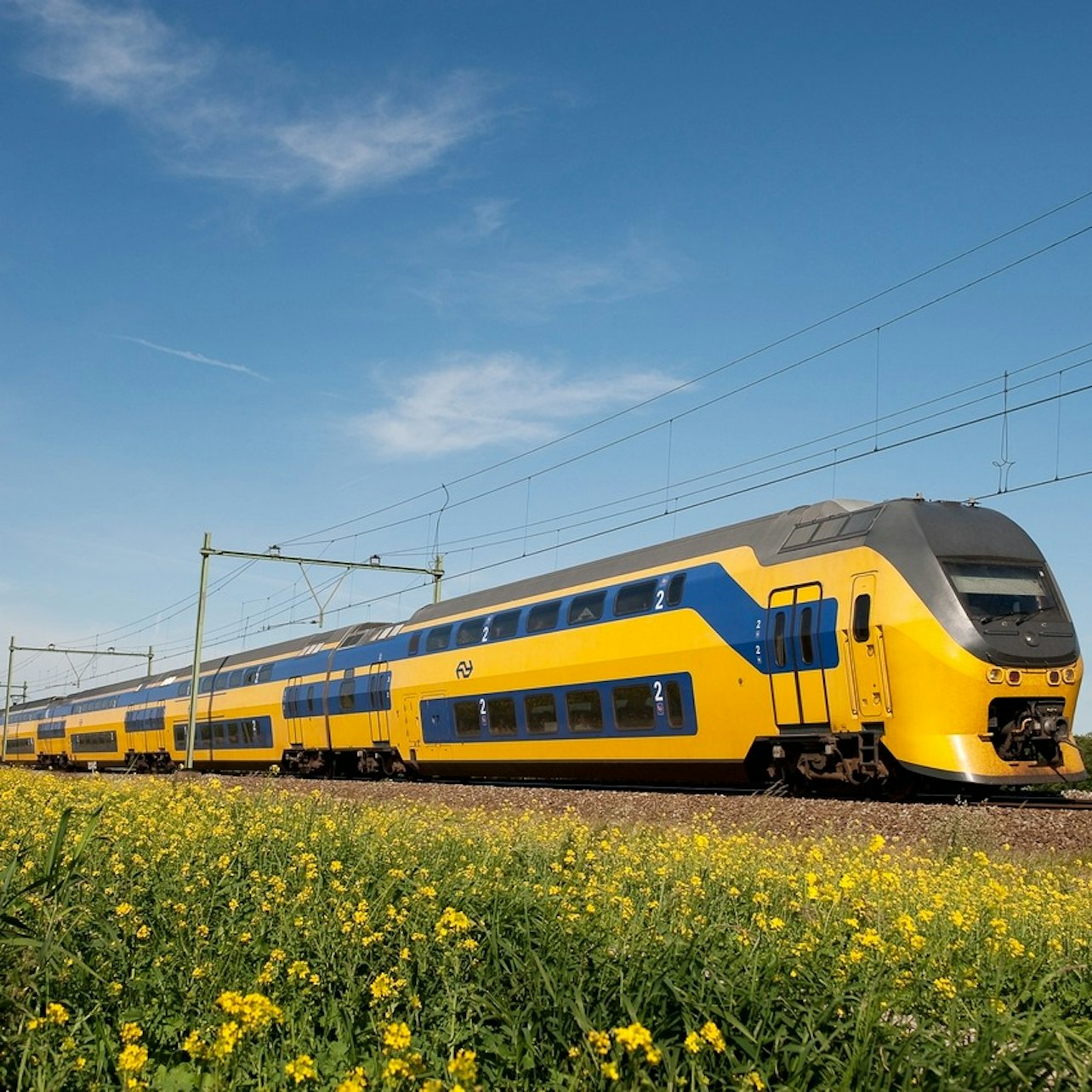 Picture of Amsterdam Schiphol Airport Transfers in 