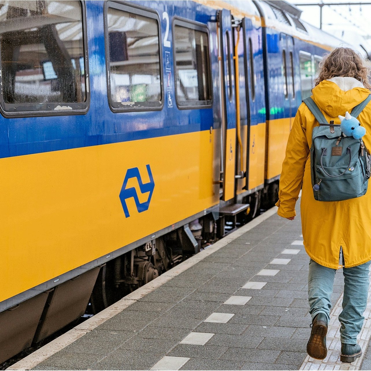 Picture of  in Amsterdam