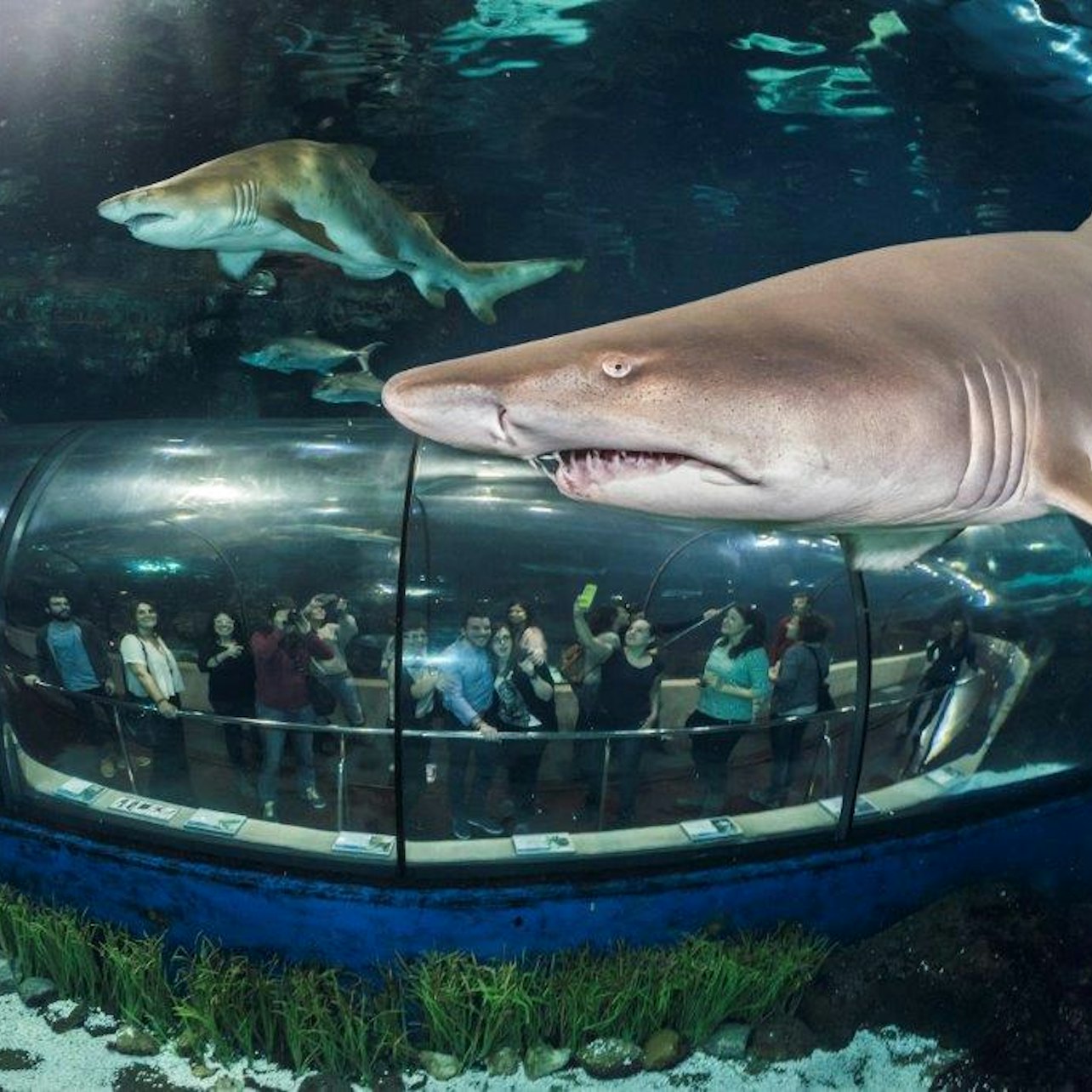 Picture of Barcelona Aquarium in 