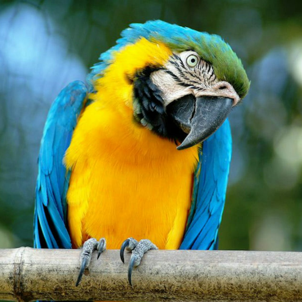 Picture of Bioparco - Zoo de Rome in 