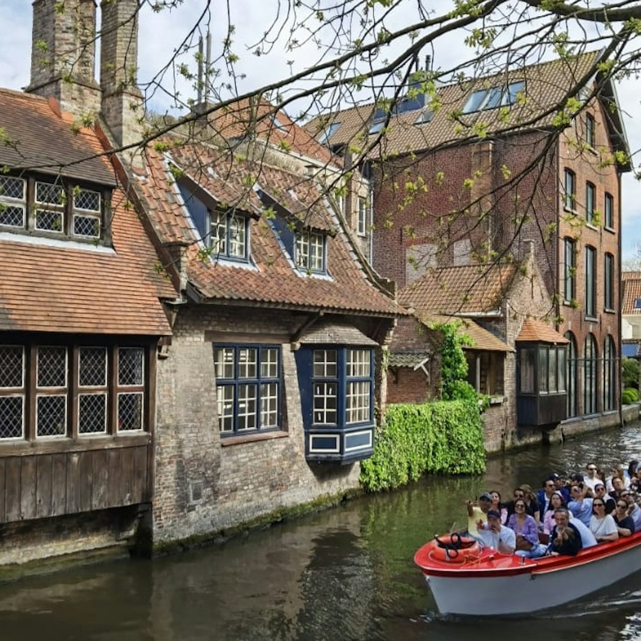Picture of Bruges Day trips from Brussels in 