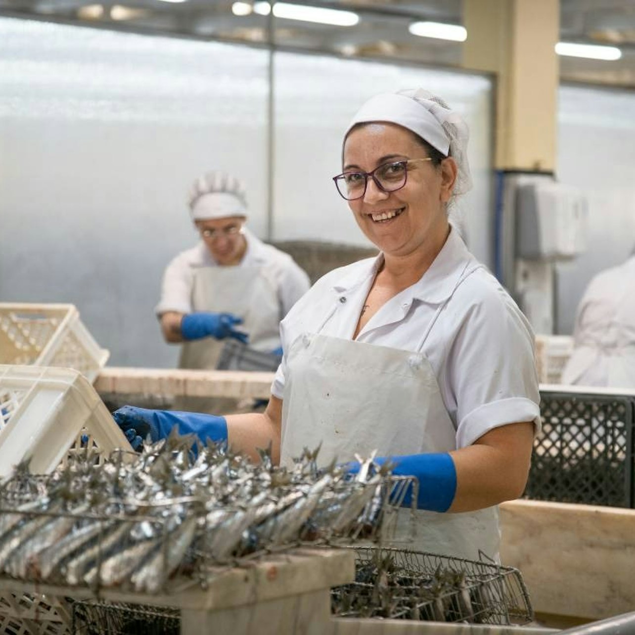 Picture of Pinhais & Cia, Lda. in 