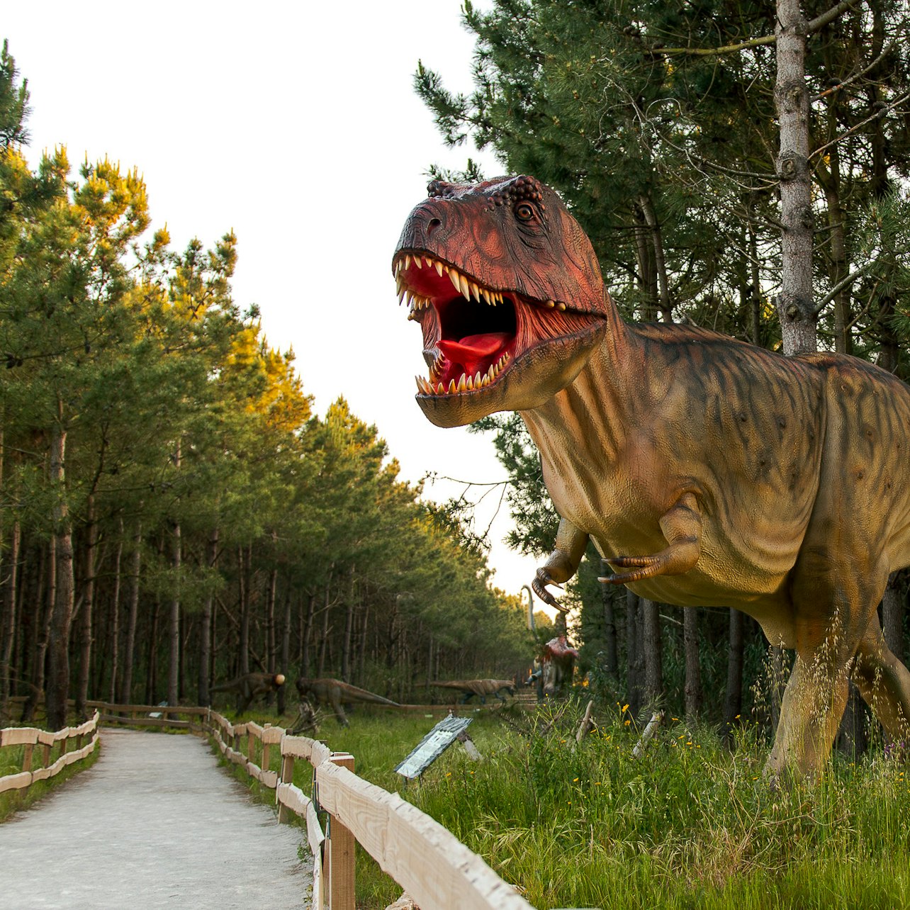 Picture of Dino Parque Lourinhã in 