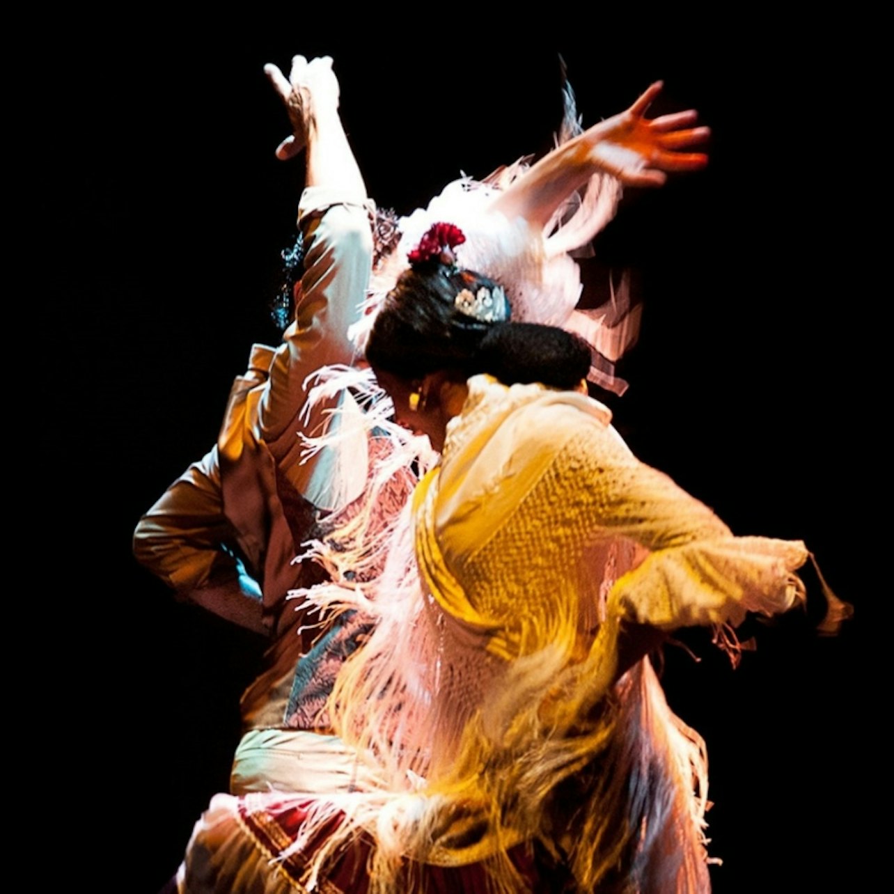 Picture of Museo del Baile Flamenco in 