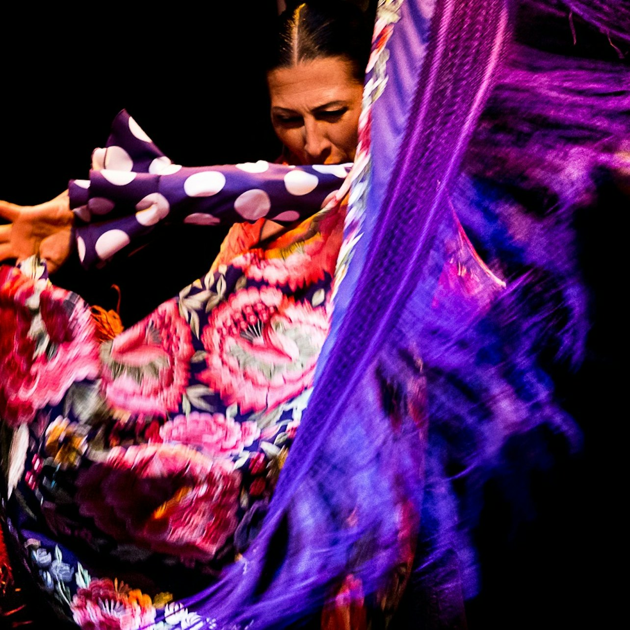 Picture of Museo del Baile Flamenco in 