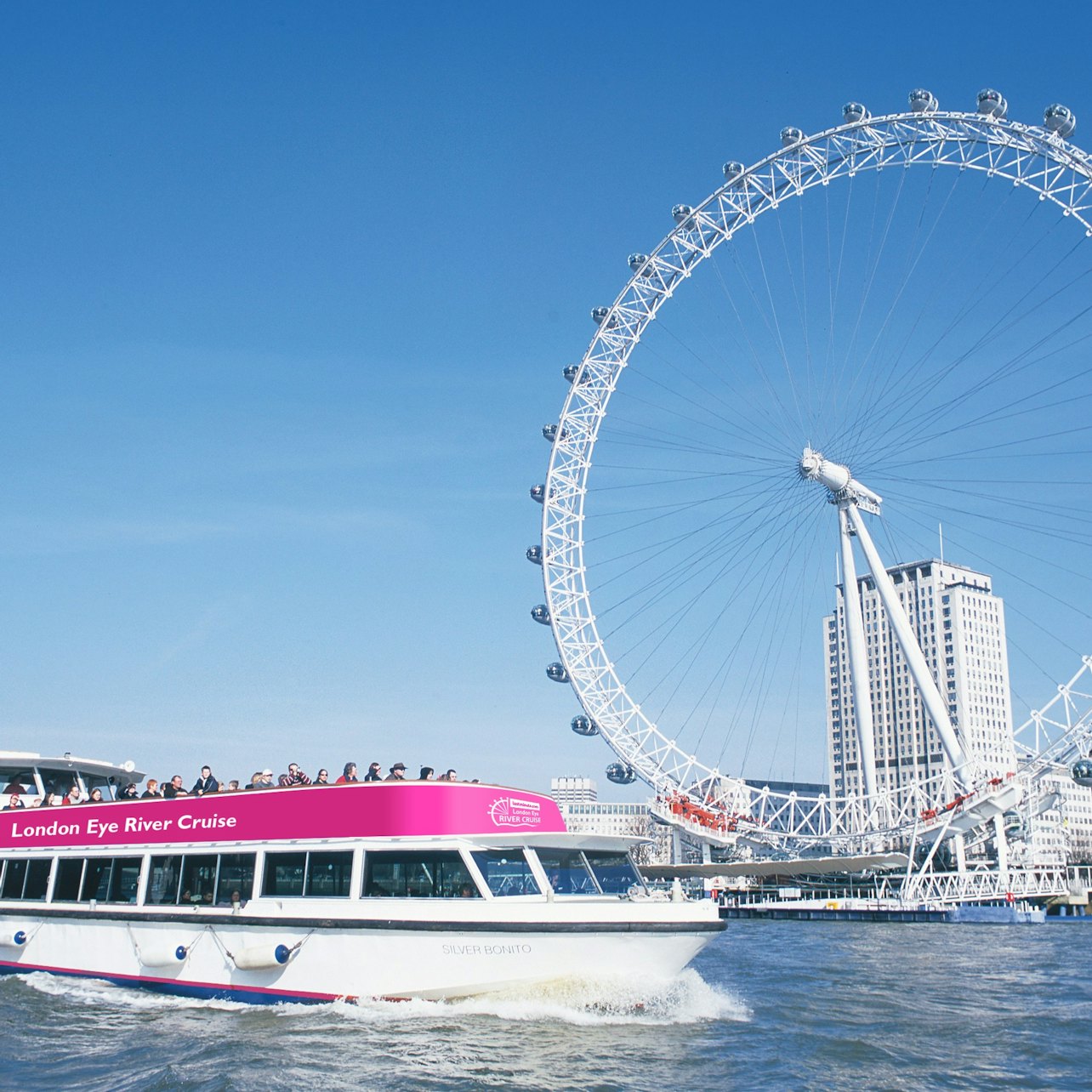 Picture of Thames River Cruises in London