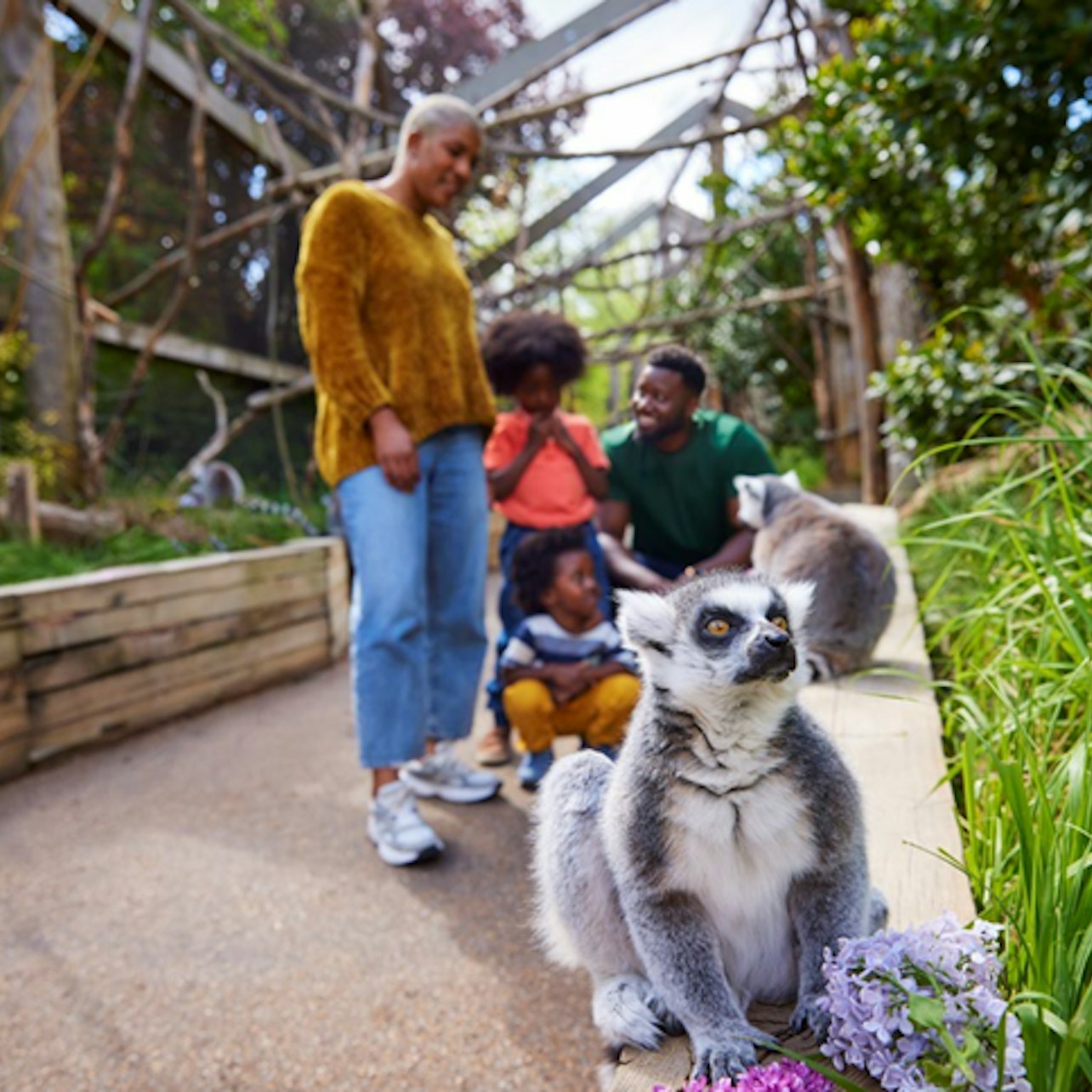 Picture of London Zoo in 