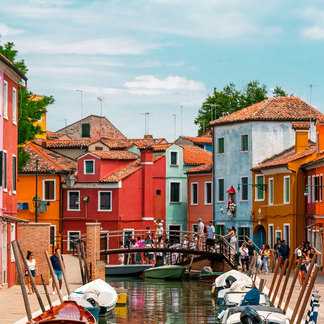 Picture of Murano and Burano Islands Tours in 