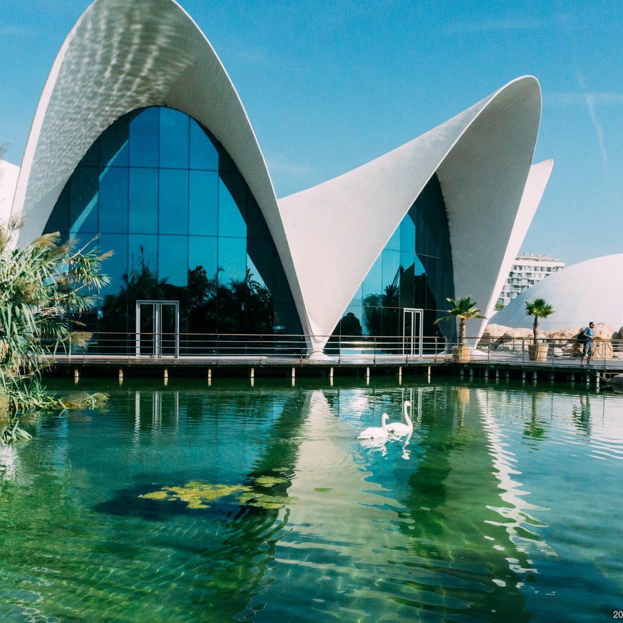 Picture of Oceanogràfic de Valencia in 