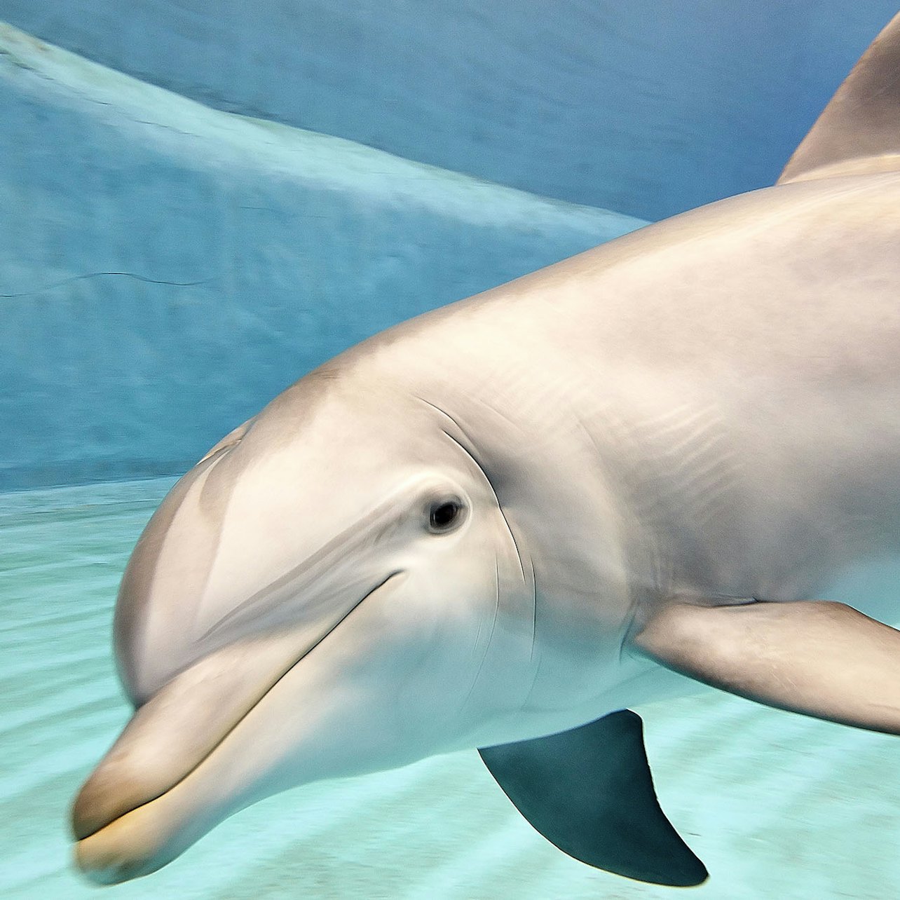Picture of Oceanogràfic de Valencia in 