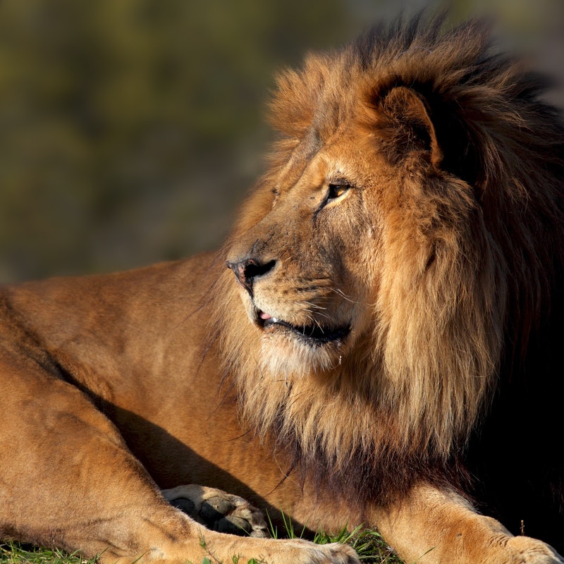 Picture of Paris Zoo in 