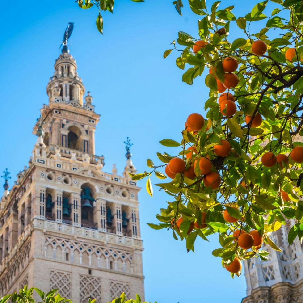 Picture of  in Seville