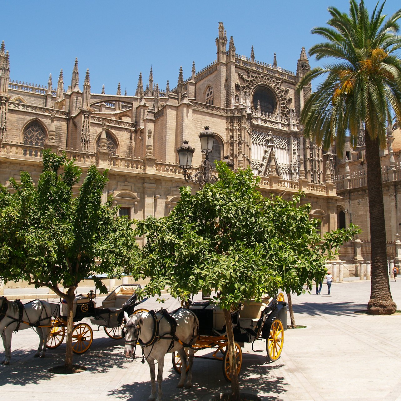 Picture of Royal Alcázar of Seville in 