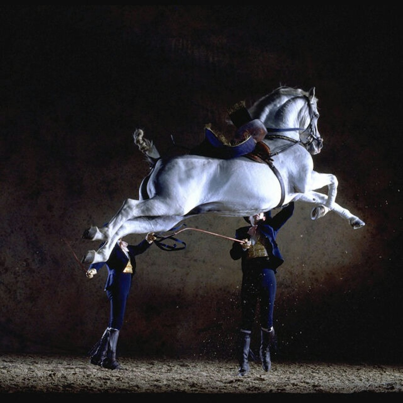 Picture of Royal Andalusian School of Equestrian Art in 