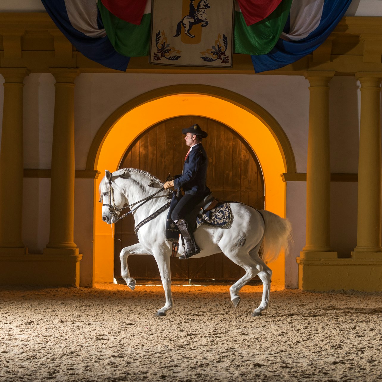 Picture of Royal Andalusian School of Equestrian Art in 