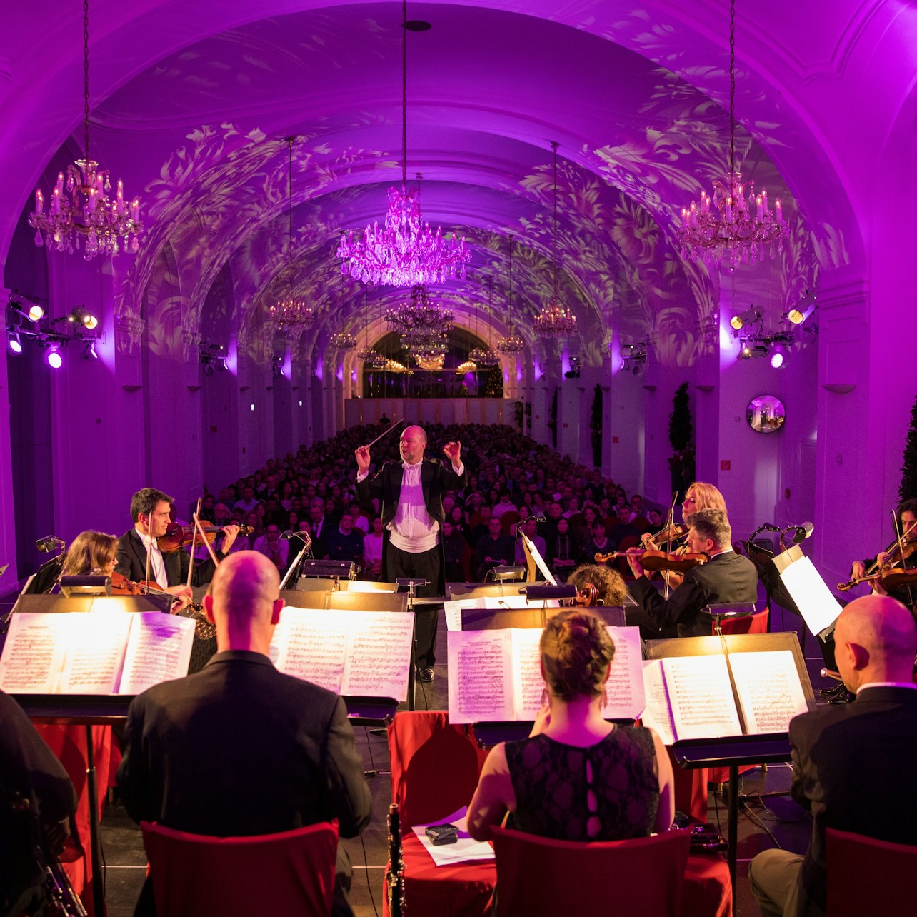 Picture of Vienna Concerts & Opera in 