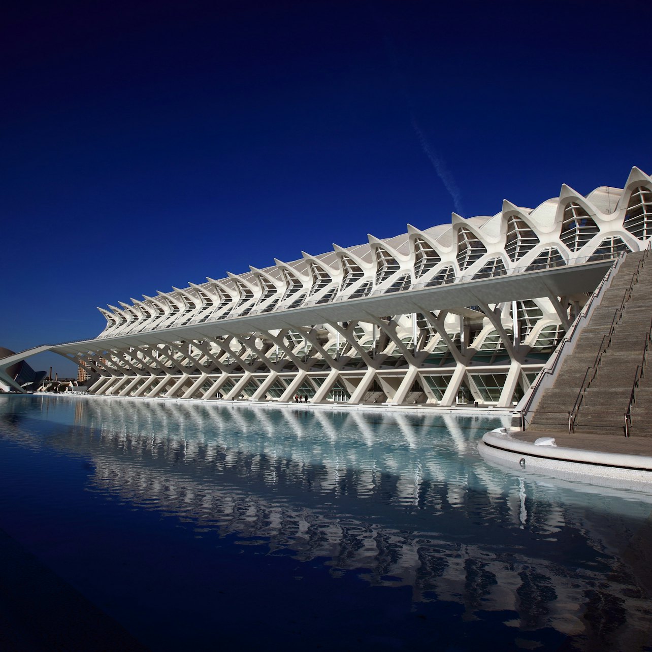 Picture of Science Museum Valencia in 