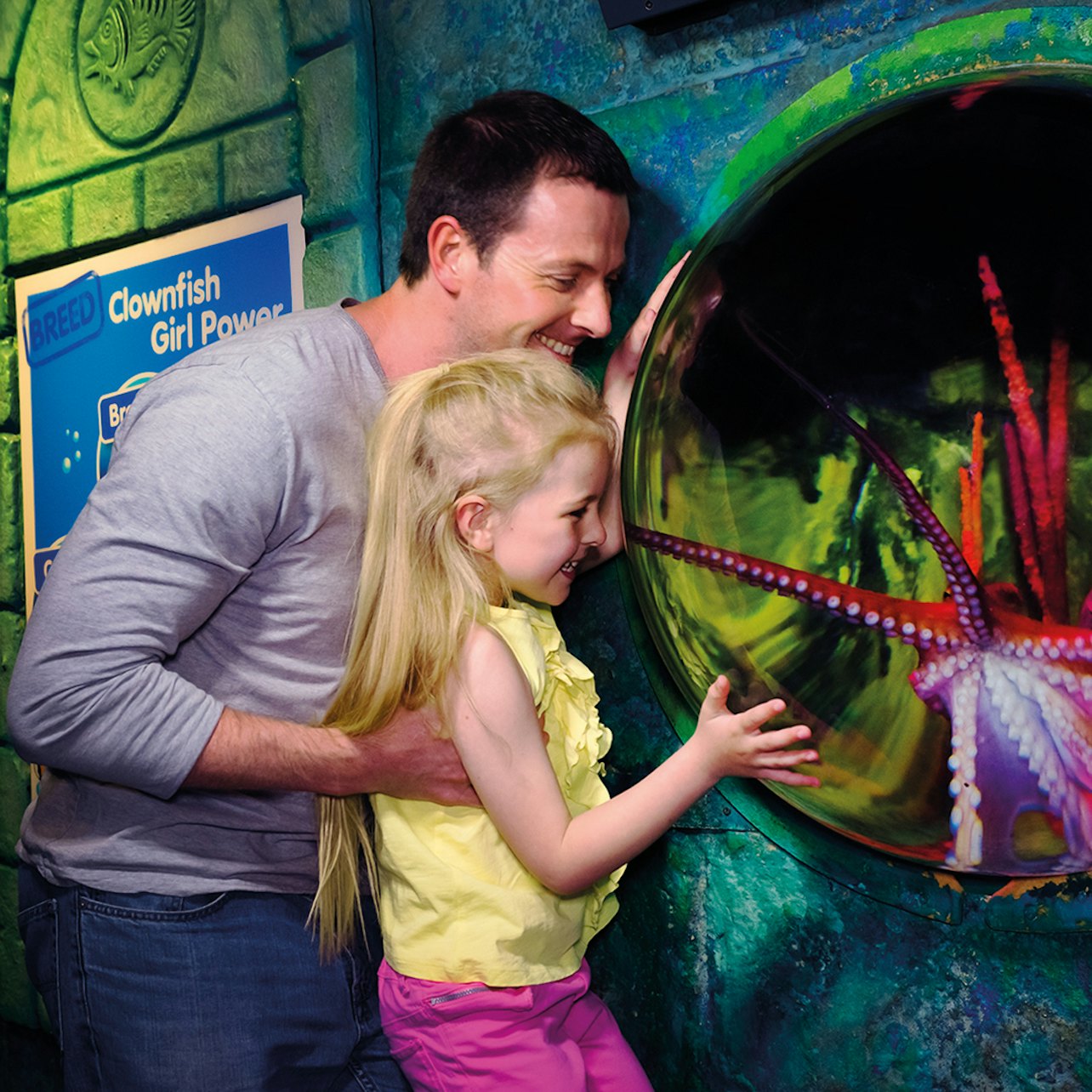 Picture of SEA LIFE London in 