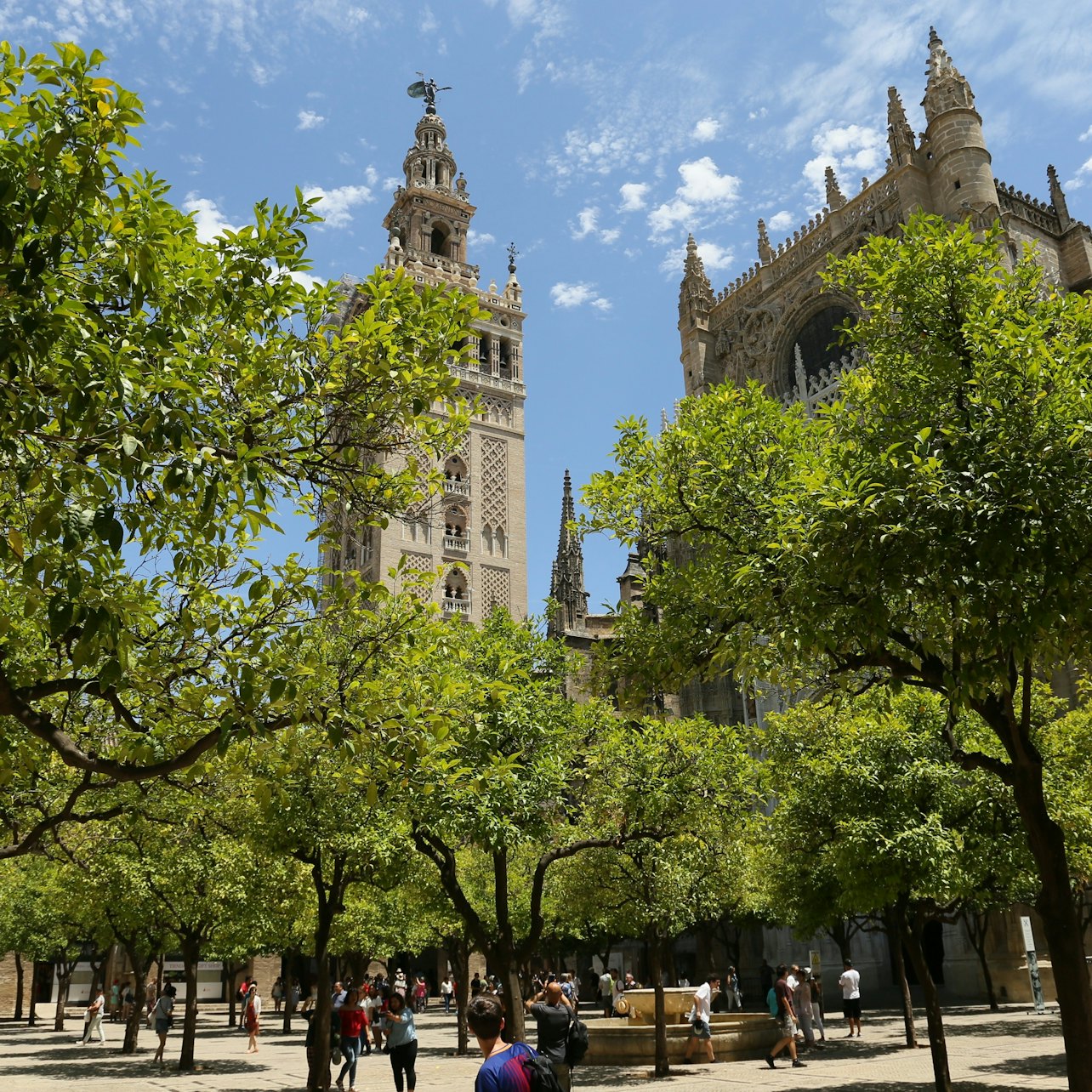 Picture of Seville Cathedral in 
