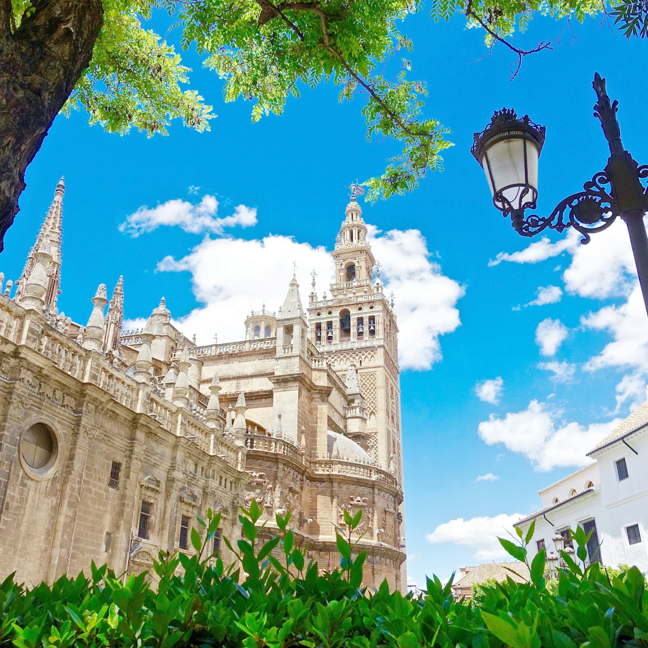 Picture of Seville Cathedral in 