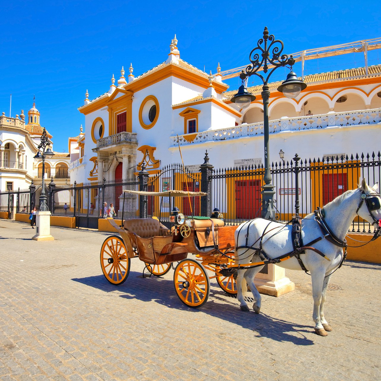 Picture of Seville City Tours in 