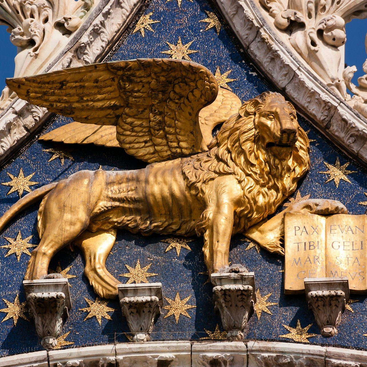 Picture of  in Venice