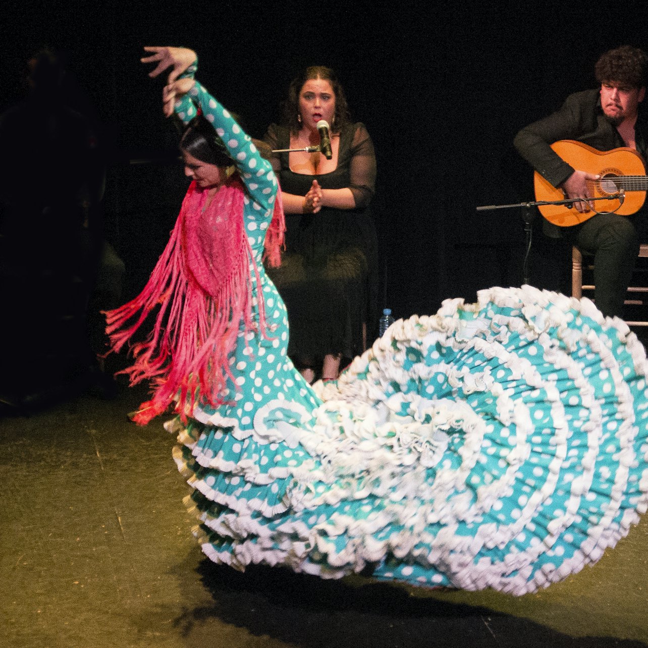 Picture of Flamenco Theater Triana in 