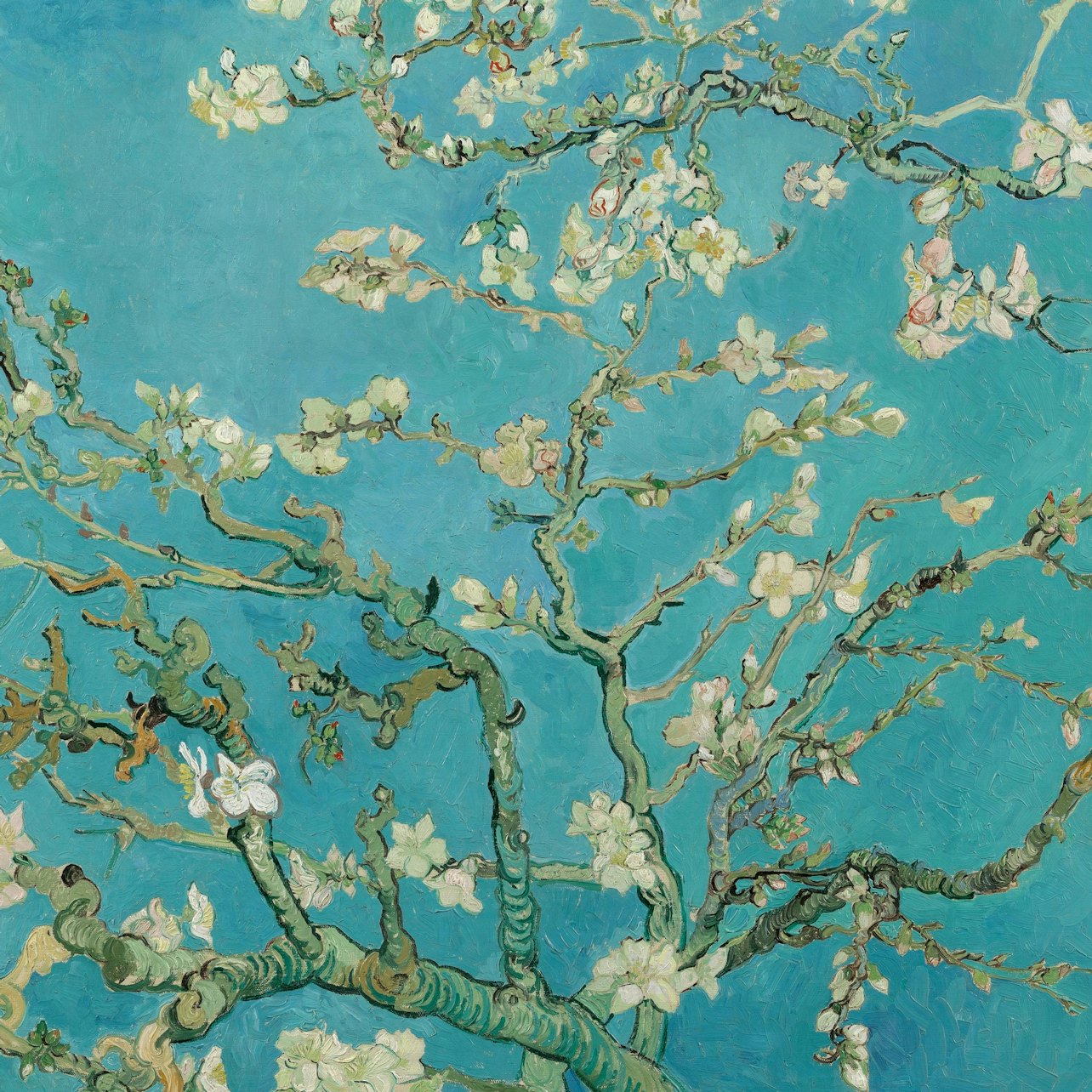 Picture of Van Gogh Museum in 