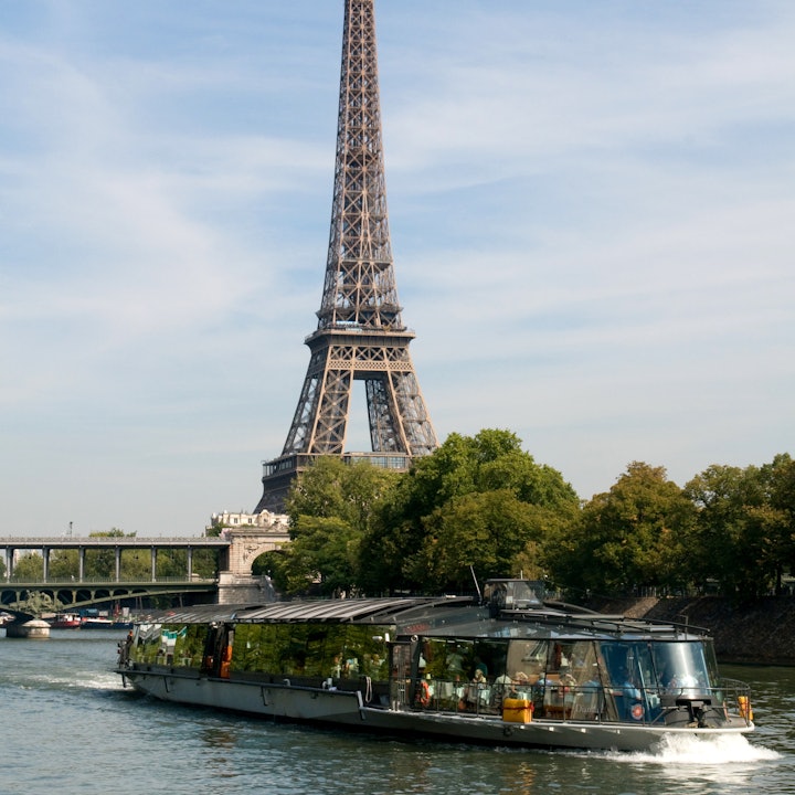 Picture of Parisian Boats